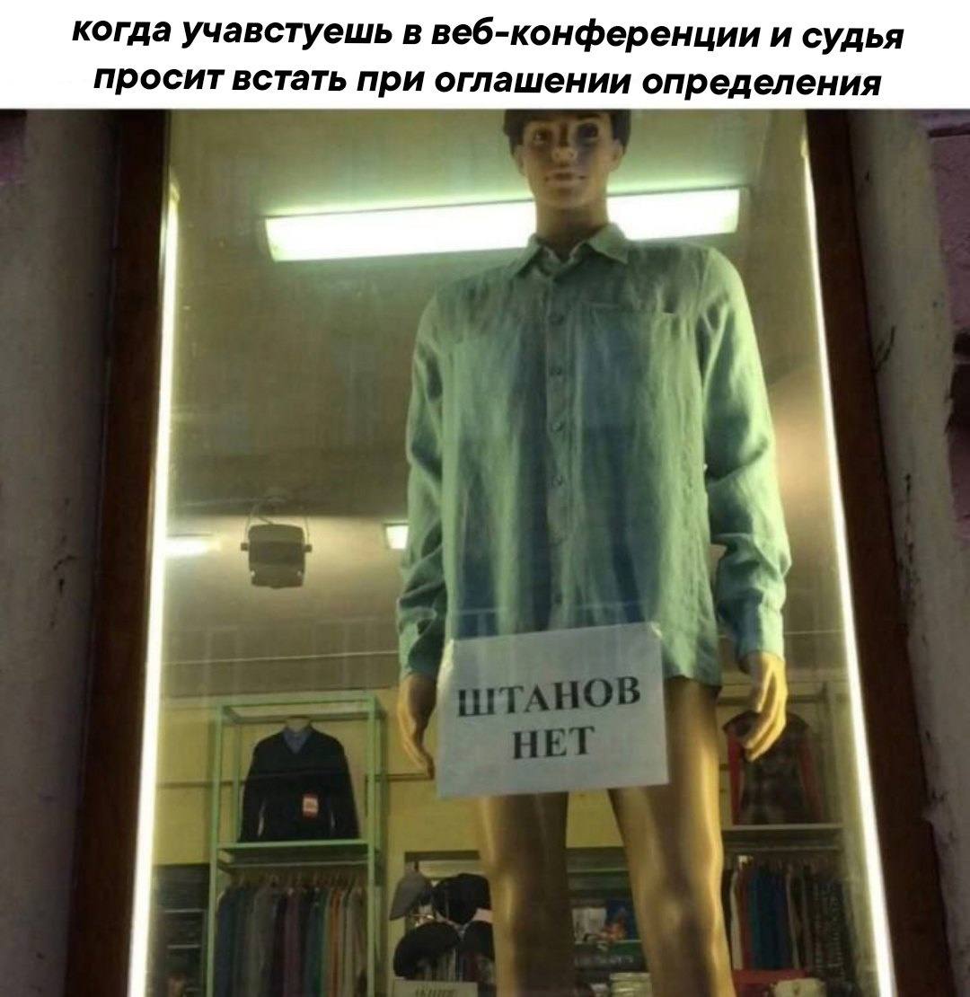 когда учавстуешь в веб-конференции и судья просит встать при оглашении определения