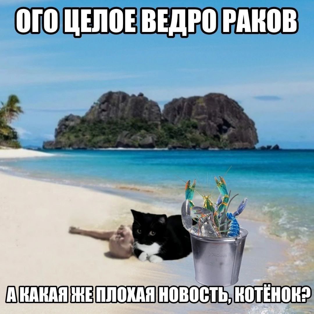 ОГО ЦЕЛОЕ ВЕДРО РАКОВ НОВОСТЬ,