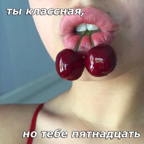 ты