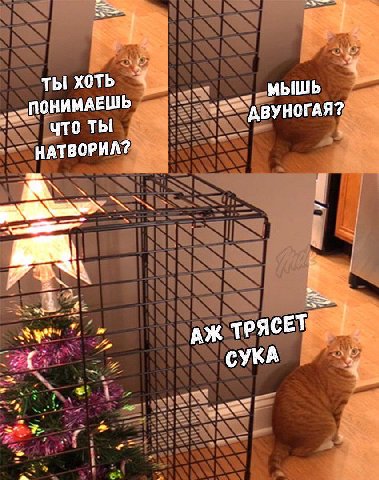 4 ты хоть МЫШЬ ПОНИМАЕШЬ АВУНОГАЯ? что Tbi НАТВОРИЛ? 2 СУКА
