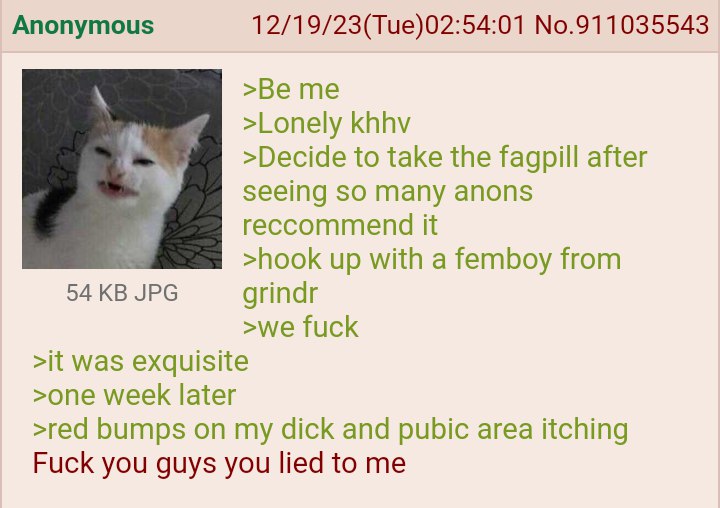 Anonymous 12/19/23(Tue)02:54:01 No.911035543 >Be me >Lonely khhv >Decide to take the fagpill after seeing SO many anons reccommend it >hook up with a femboy from 54 JPG grindr >we fuck >it was exquisi