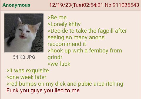 Anonymous 12/19/23(Tue)02:54:01 No.911035543 >Be me >Lonely khhv >Decide to take the fagpill after seeing SO many anons reccommend it >hook up with a femboy from 54 JPG grindr >we fuck >it was exquisi