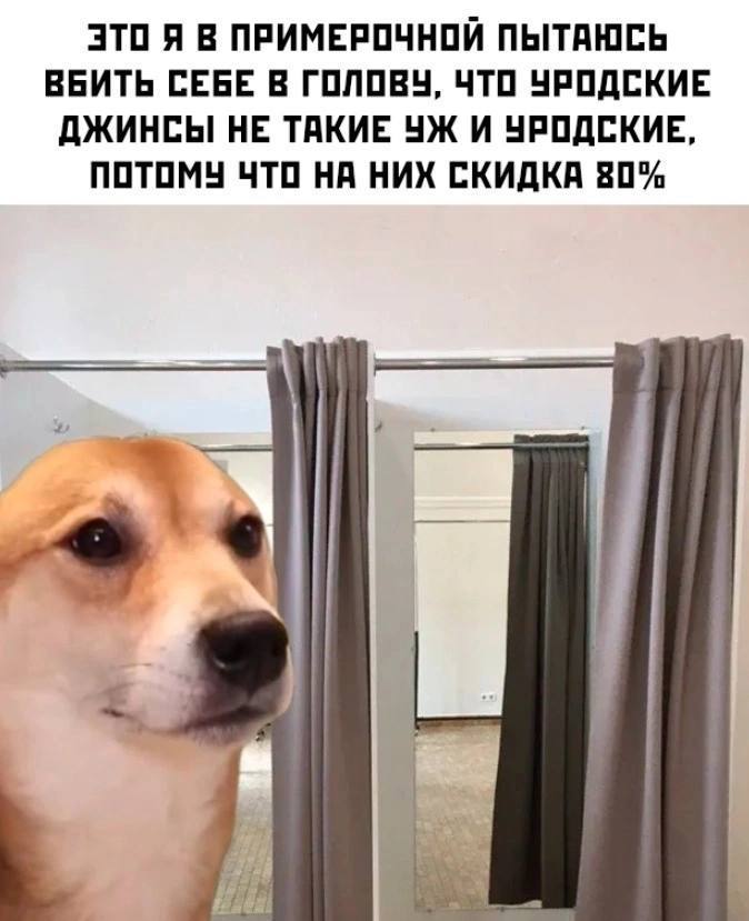 ЭТО Я В ПРИМЕРОЧНОЙ ПЫТАЮСЬ ВБИТЬ СЕБЕ В ГОЛОВУ, ЧТО УРОДСКИЕ ДЖИНСЫ НЕ ТАКИЕ И УРОДСКИЕ, ПОТОМУ ЧТО НА НИХ СКИДКА 80% a