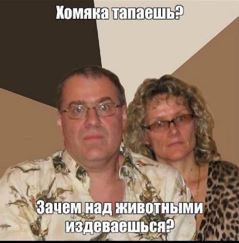 Komaka тапаешь? у 3 над животными Издеваешься?