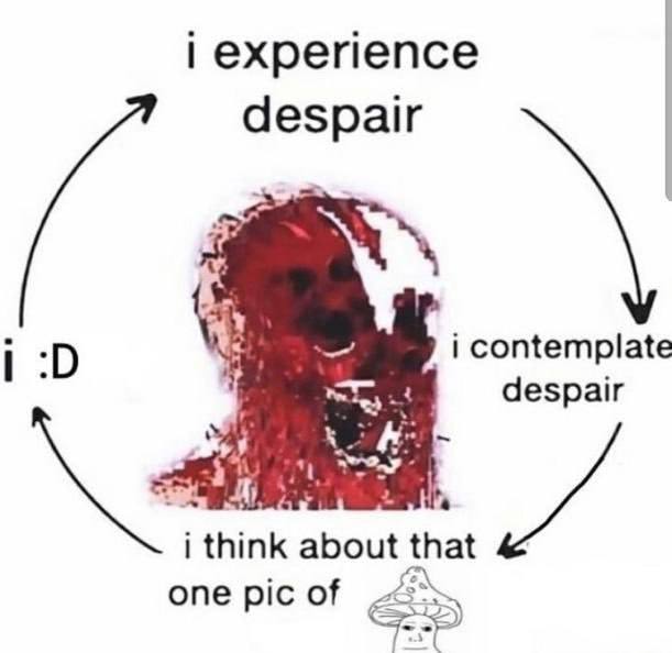 experience despair i contemplate despair у i think about that one pic of