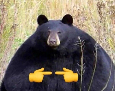 3 if 4