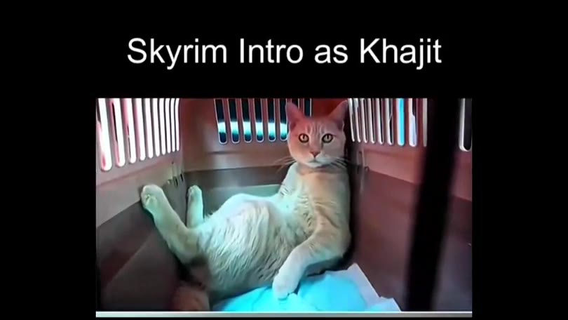 Skyrim Intro аз Край