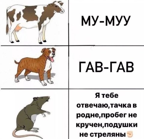 И МУ-МУУ ГАВ-ГАВ Я тебе в родне,пробег не кручен, подушки не стреляны