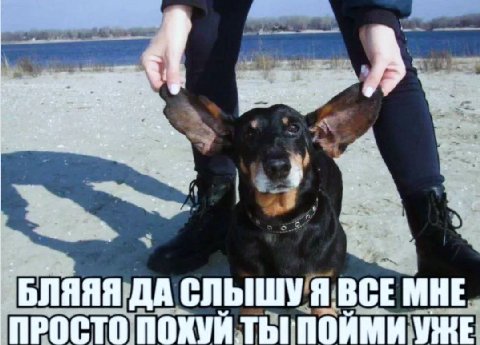 a 1 Poe “9 ЬЛЯЯЯ ДА СЛЫШУ Я ВСЕ МНЕ ПРОСТО ПОХУИ