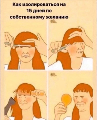 Как изолироваться на 15 дней по собственному желанию 24% A\ и 3 а