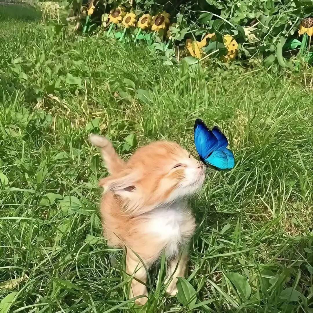 1 с Ves у 2 у i Я