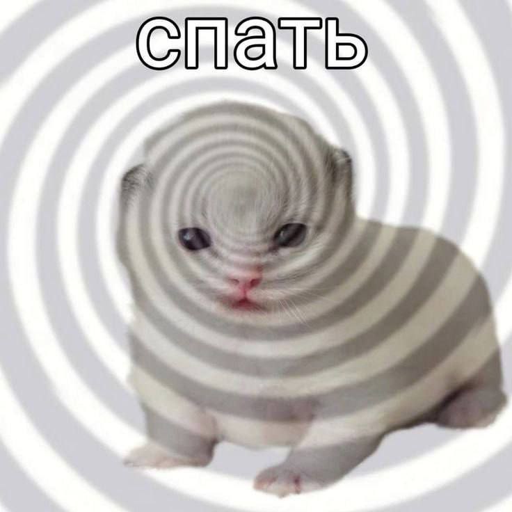 Chia \ et