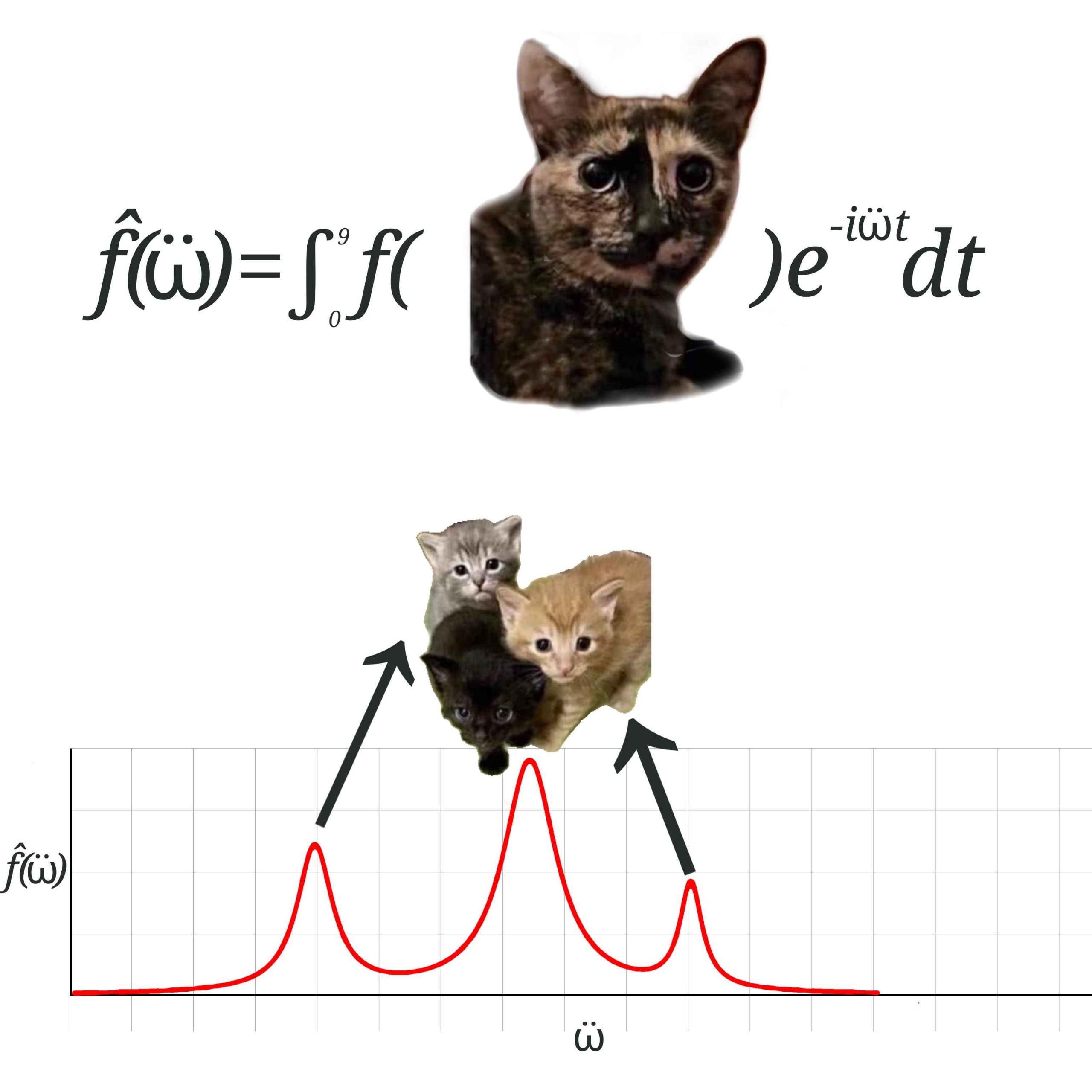 fey=f fl Je dt As ИЛ