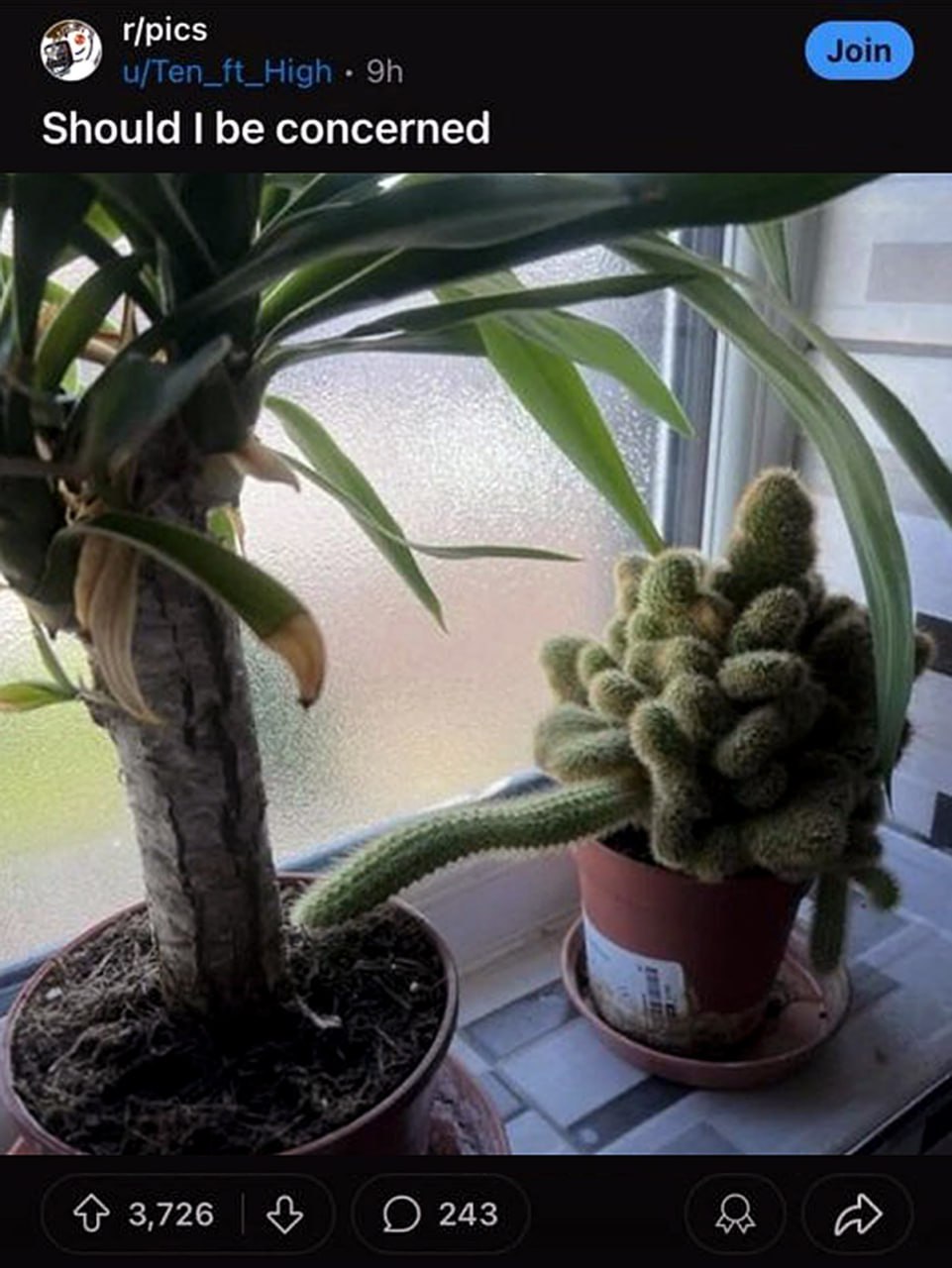 r/pics Should be concerned A 3,726 243