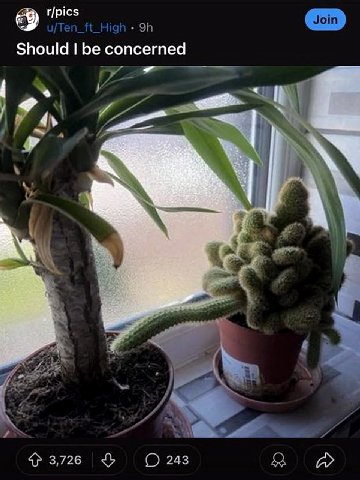 r/pics Should be concerned A 3,726 243