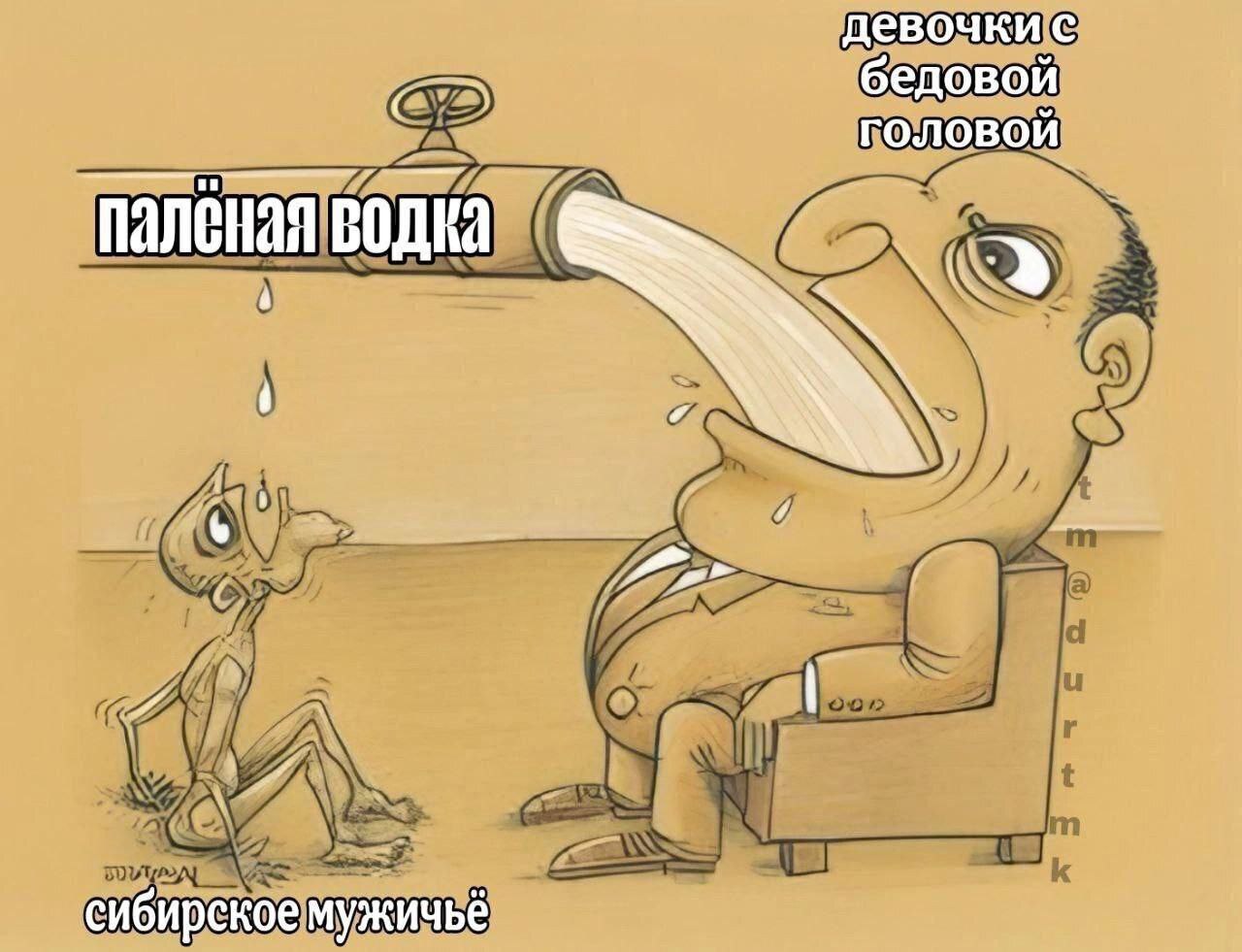 девочкис бедовой головой. водка сибирское мужичьё