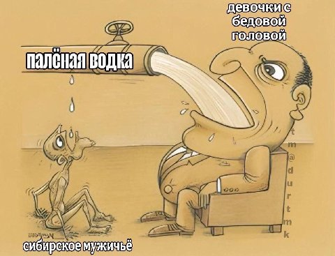 девочкис бедовой головой. водка сибирское мужичьё