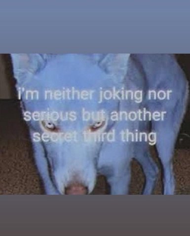 joking nor another thing