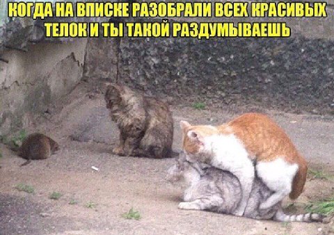 КОГДА НА ВПИСНЕ РАЗОБРАЛИ ВСЕХ КРАСИВЫХ ТЕЛОК И ТАКОЙ РАЗДУМЫВАЕШЬ 7%