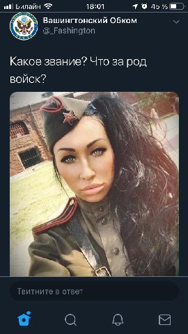 Билайн 18:01 45% Вашингтонский Обком @_Fashington Какое звание? Что за род BOUCK? я wee у я 4 Твитните в ответ