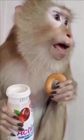 мем