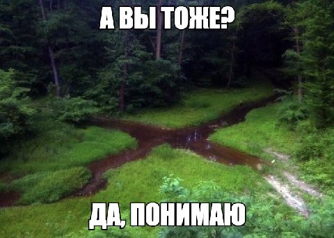 АВЫ ДА,
