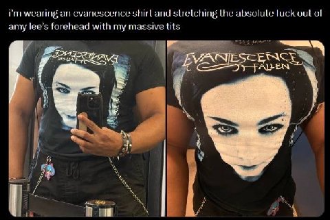 wearing an evanescence shirt and stretching the absolute fuck out of amy lee’s forehead with my massive tits я у