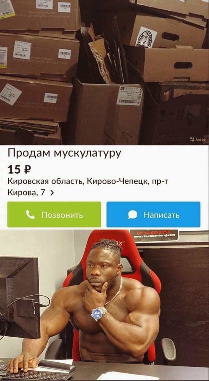 Продам мускулатуру 15 Кировская область, Кирово-Чепецк, пр-т Кирова, 7