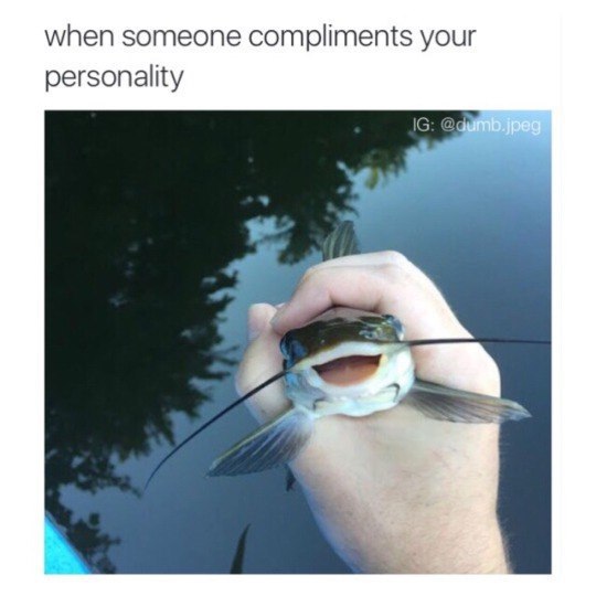 when someone compliments your personality