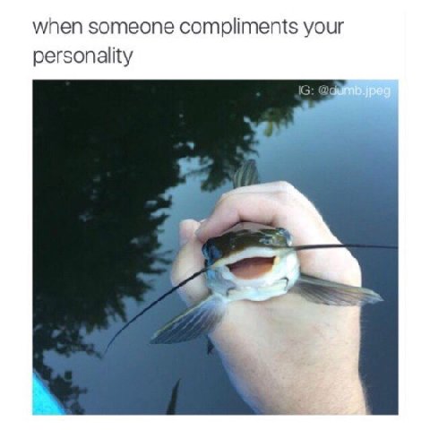 when someone compliments your personality