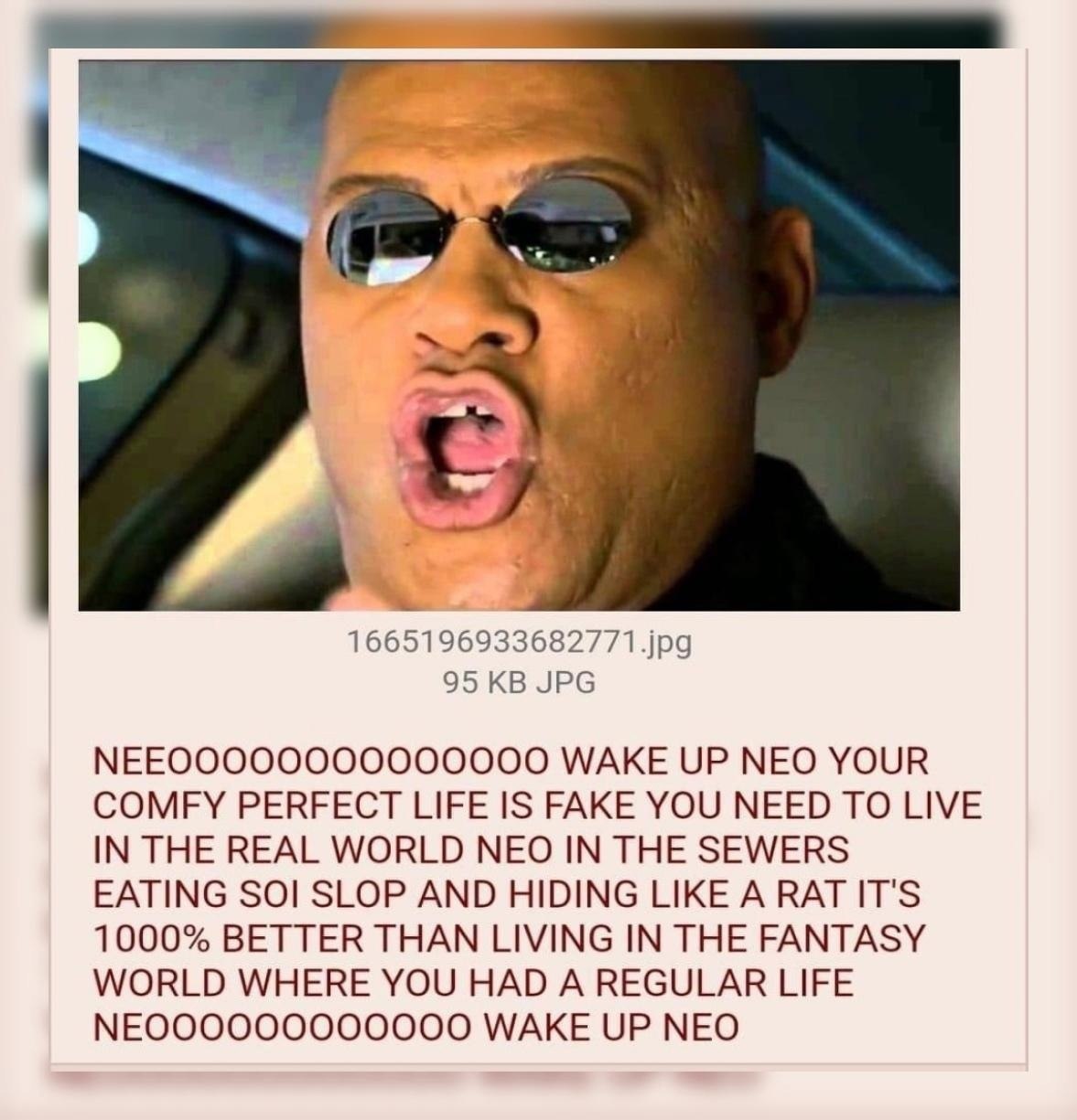 95 JPG WAKE UP NEO YOUR COMFY PERFECT LIFE IS FAKE YOU NEED TO LIVE IN THE REAL WORLD NEO IN THE SEWERS EATING SOI SLOP AND HIDING LIKE A 1000% BETTER THAN LIVING IN THE FANTASY WORLD WHERE YOU HAD A 