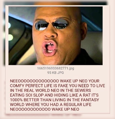 95 JPG WAKE UP NEO YOUR COMFY PERFECT LIFE IS FAKE YOU NEED TO LIVE IN THE REAL WORLD NEO IN THE SEWERS EATING SOI SLOP AND HIDING LIKE A 1000% BETTER THAN LIVING IN THE FANTASY WORLD WHERE YOU HAD A 