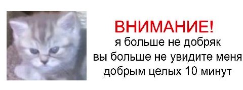 ВНИМАНИЕ! я больше не добряк вы больше не увидите меня добрым целых 10 минут