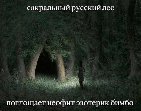сакральный русский лес поглощает неофит эзотерик бимбо