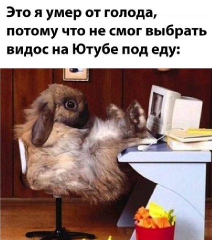 Это я умер от голода, потому что не смог выбрать видос на Ютубе под еду: