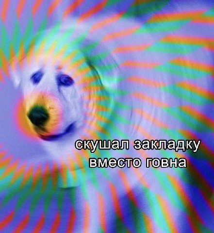 скушал закладку вместо говна