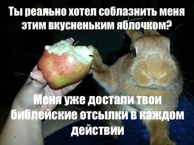 Ты реально хотел соблазнить меня этим вкусненьким Melia уже достали твои библейские отсылки каждом действии
