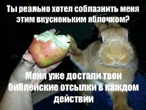 Ты реально хотел соблазнить меня этим вкусненьким Melia уже достали твои библейские отсылки каждом действии
