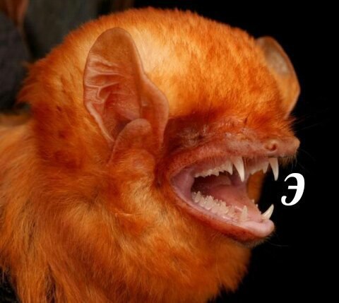 когда зовешь друга