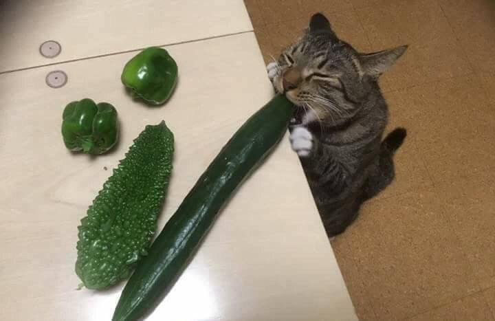 A a