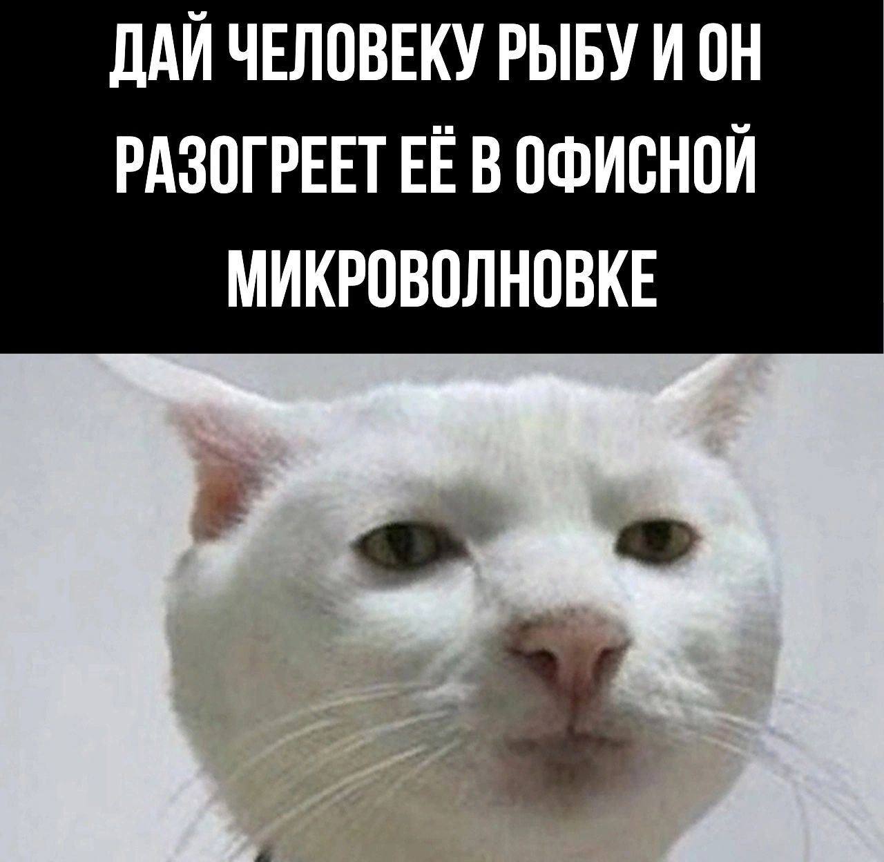 ДАЙ ЧЕЛОВЕКУ РЫБУ И ОН РАЗОГРЕЕТ ЕЁ В ОФИСНОЙ МИКРОВОЛНОВКЕ