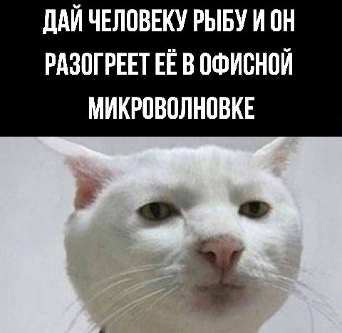 ДАЙ ЧЕЛОВЕКУ РЫБУ И ОН РАЗОГРЕЕТ ЕЁ В ОФИСНОЙ МИКРОВОЛНОВКЕ