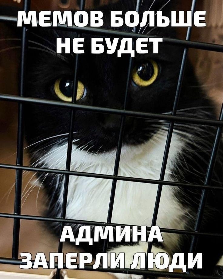 МЕМОВ БОЛЬШЕ НЕ БУДЕТ АДМИНА ЗАП