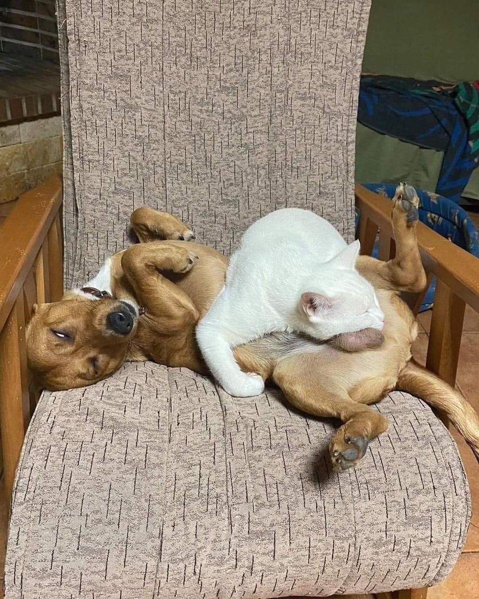 4, 4