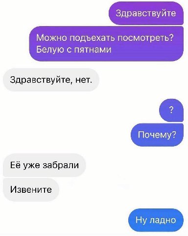 Здравствуйте Можно подъехать посмотреть? Белую с пятнами Здравствуйте, нет. Её уже забрали Извените