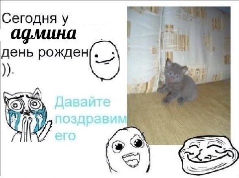 Сегодня у i день рожден