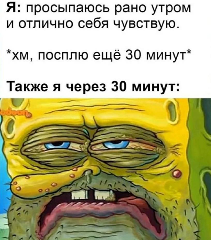 Я: просыпаюсь рано утром и отлично себя чувствую. посплю ещё 30 минут* Также я через 30 минут:
