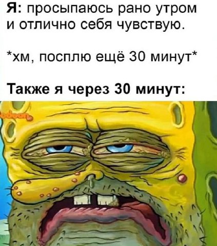 Я: просыпаюсь рано утром и отлично себя чувствую. посплю ещё 30 минут* Также я через 30 минут: