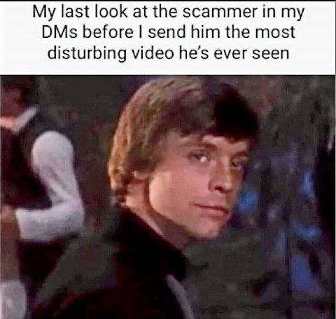 My last look at the scammer in DMs before send him the most disturbing video he’s ever seen