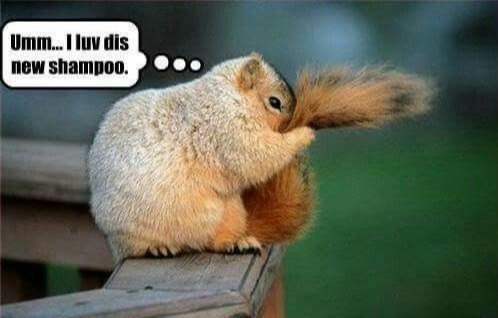 Umm... luv dis new shampoo.